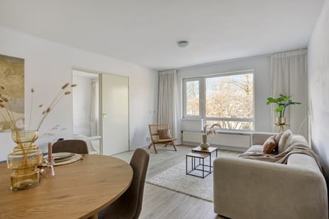 Louis Davidsstraat thumbnail