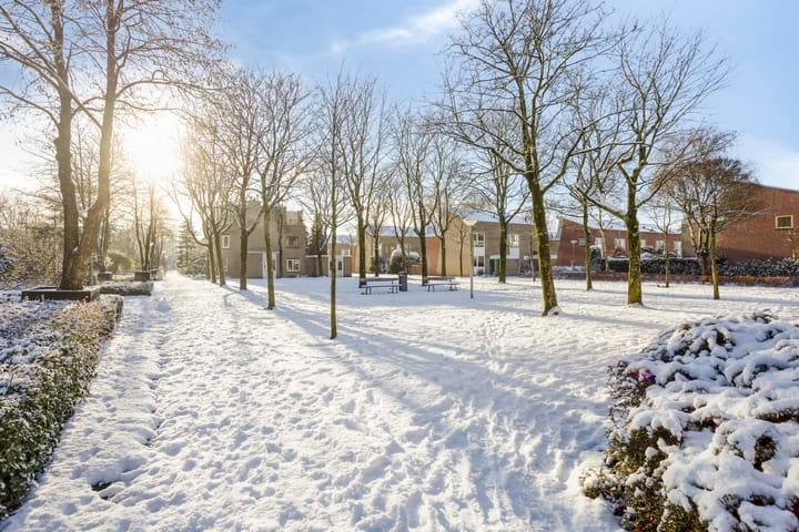 Foto 32 van Louis Davidsstraat 23