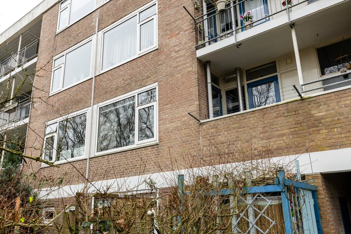 Foto 19 van Gouwe 85