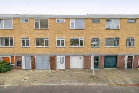 Fruinplantsoen thumbnail