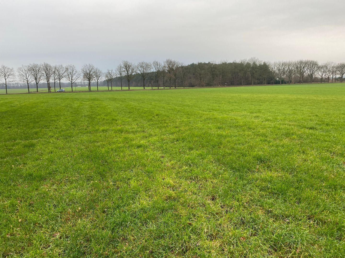 View photo 3 of Jipsingboertangerweg