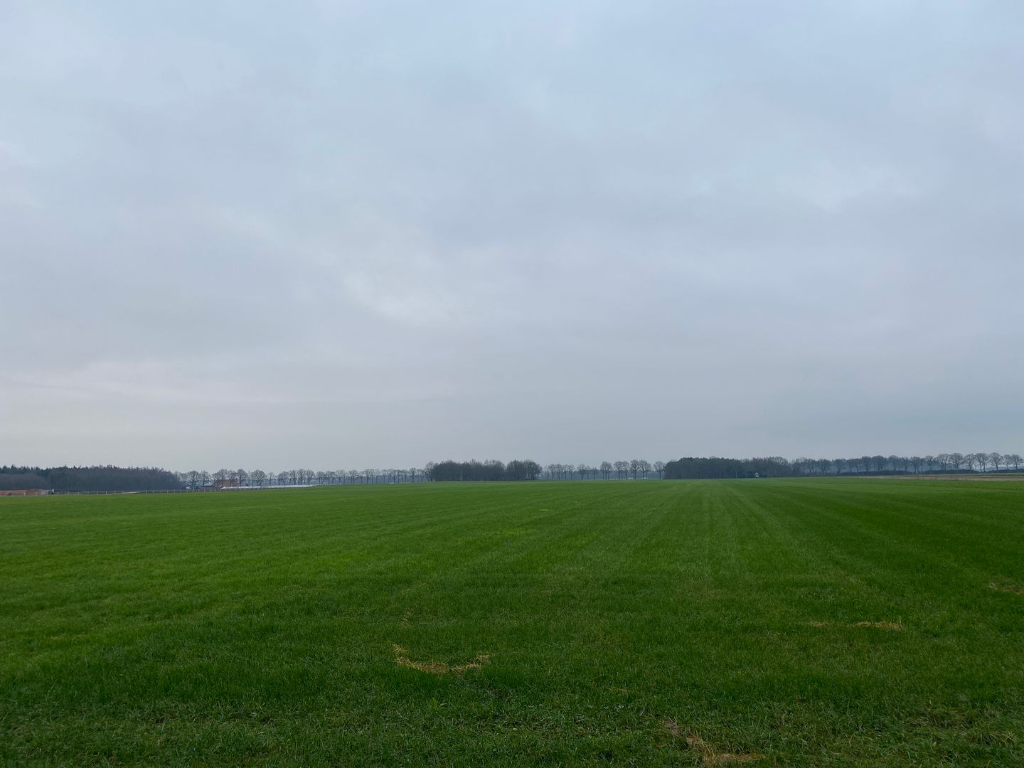 View photo 4 of Jipsingboertangerweg