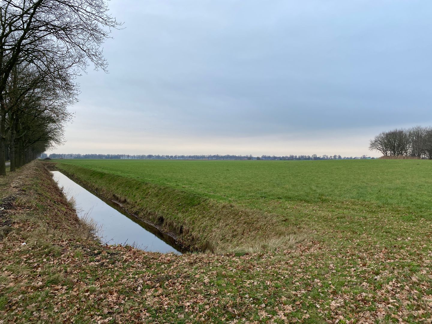 Jipsingboertangerweg - Sellingen - Afbeelding 7
