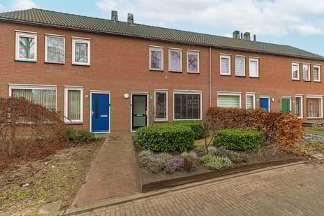 undefined main image