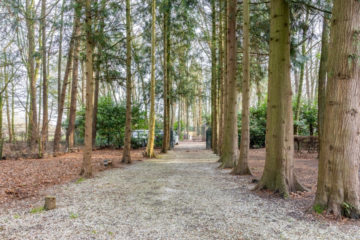 Foto 28 van Oekelsbos 8