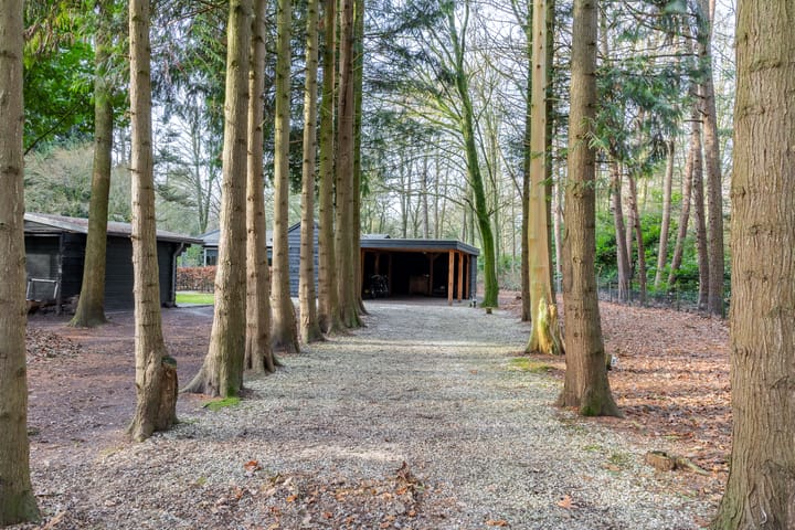 Foto 29 van Oekelsbos 8