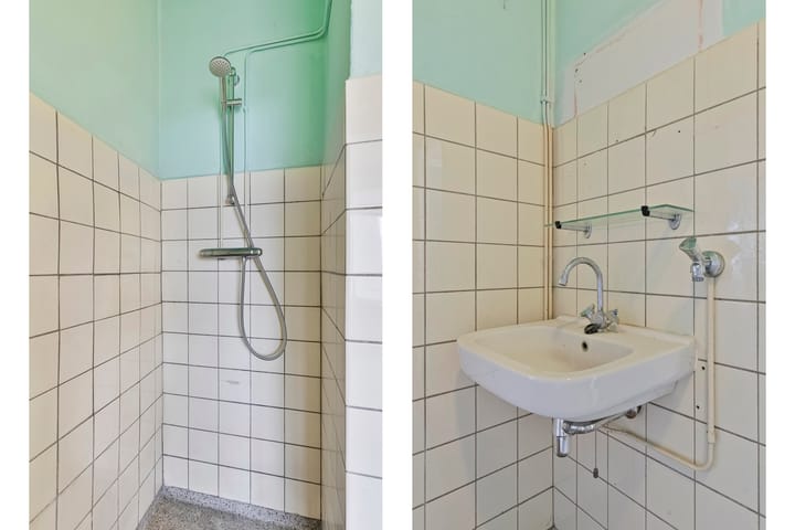 Foto 9 van Langswater 742