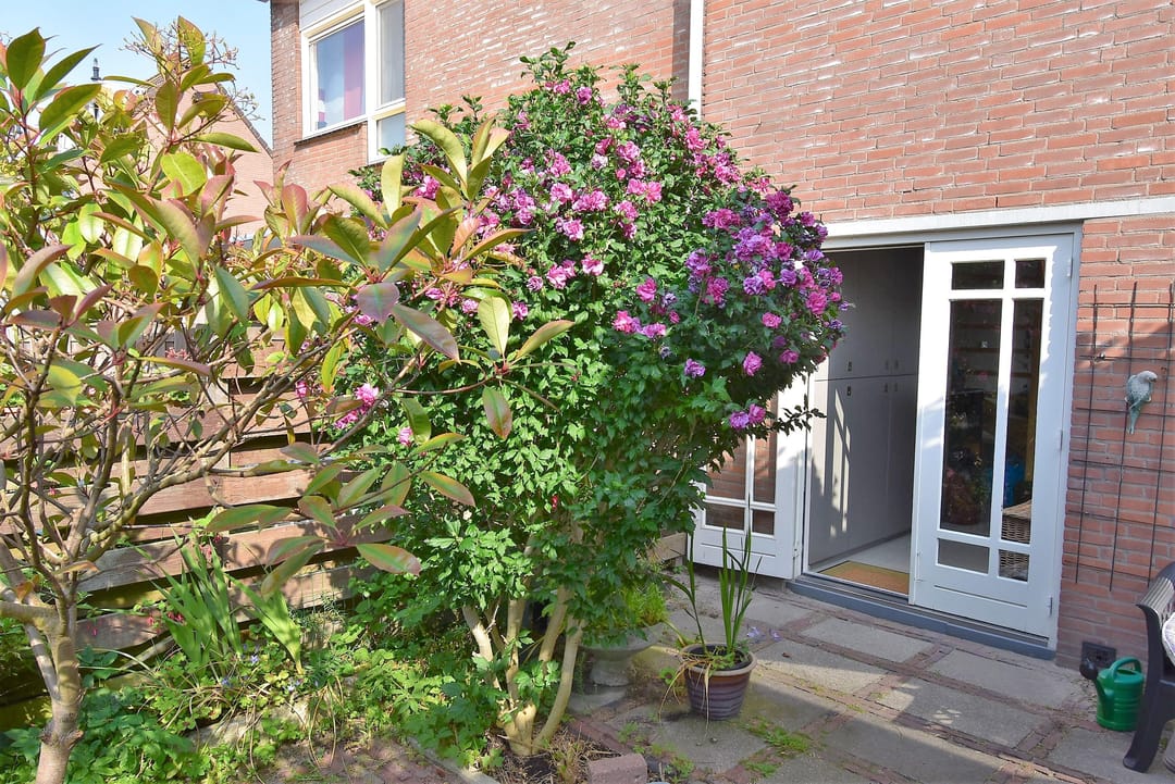 Photo 11 of Fregatwerf 3