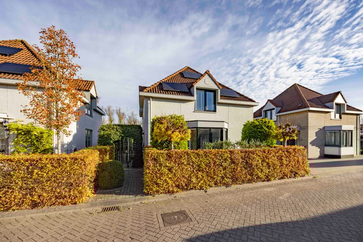 Foto 1 van Jeneverbes 4