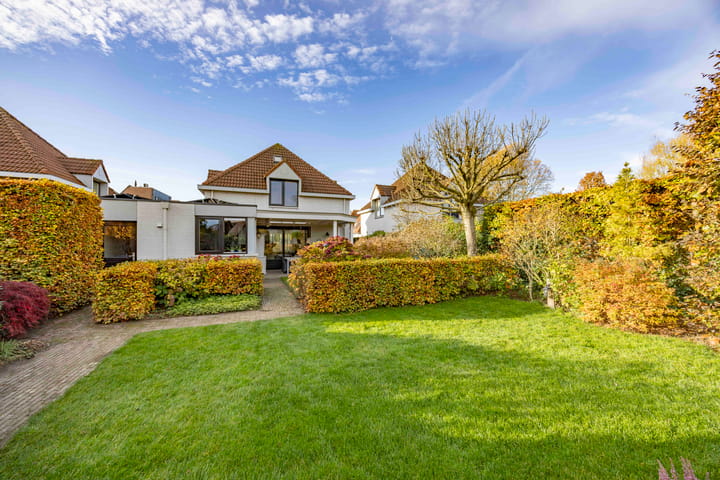 Foto 2 van Jeneverbes 4