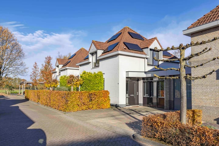 Foto 3 van Jeneverbes 4