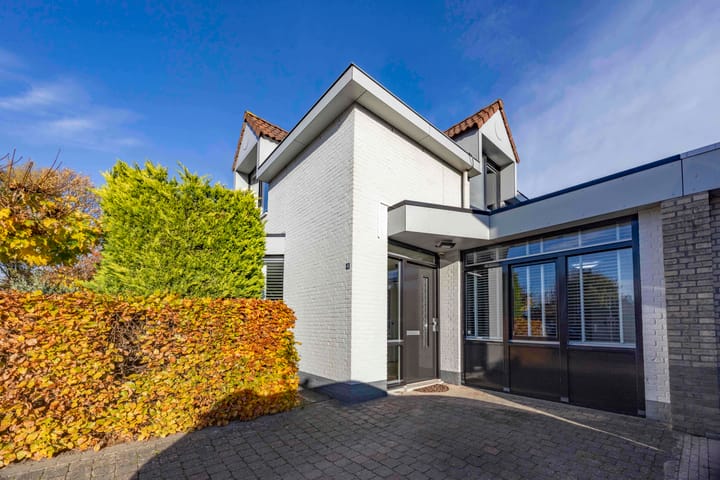 Foto 4 van Jeneverbes 4