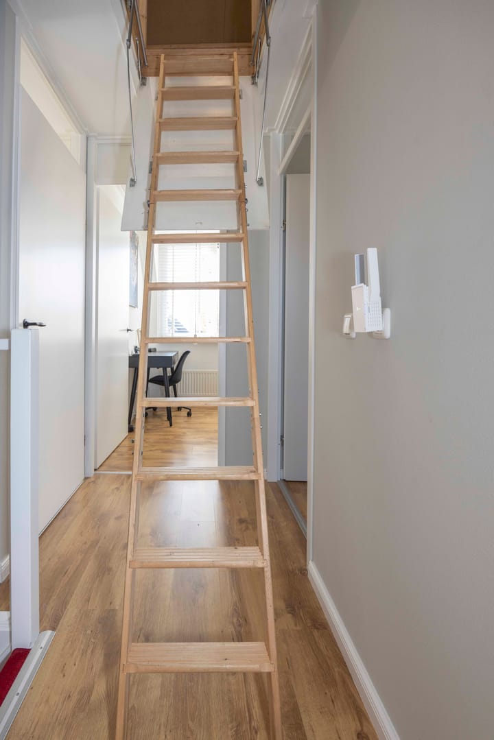 Foto 31 van Jeneverbes 4