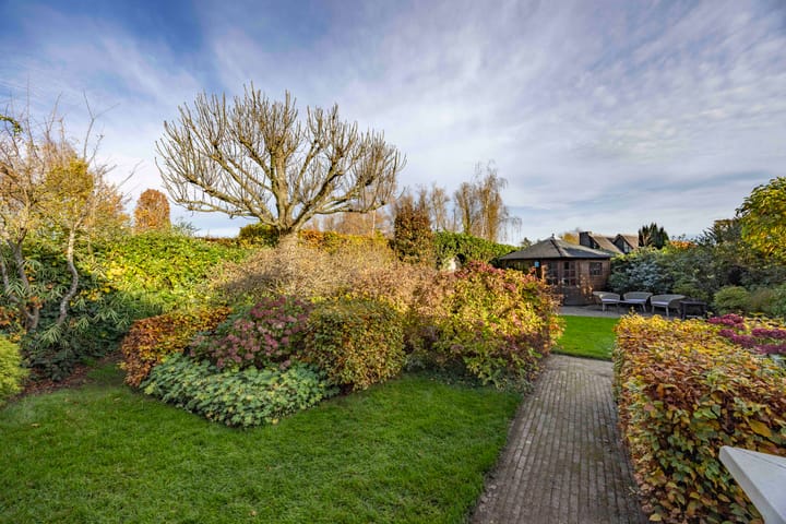 Foto 35 van Jeneverbes 4