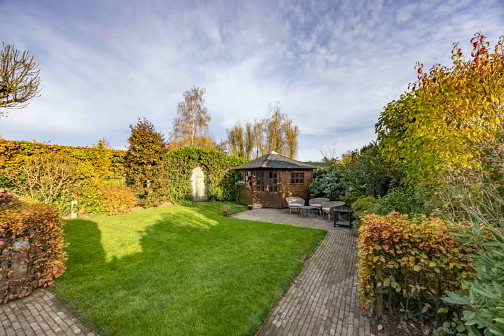 Foto 36 van Jeneverbes 4