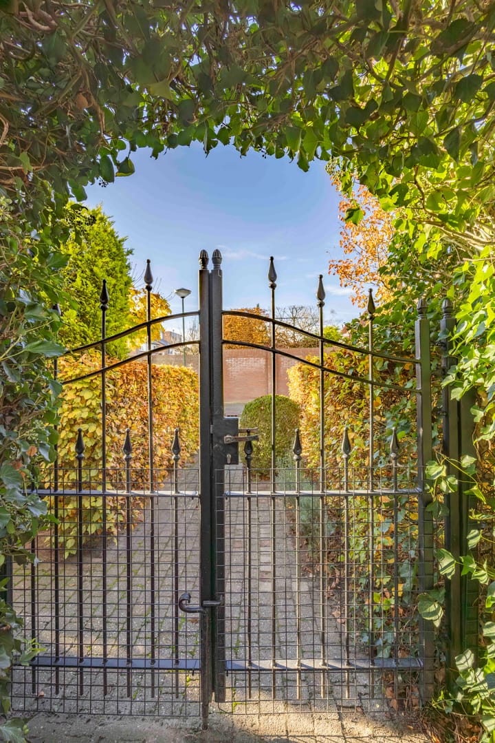 Foto 38 van Jeneverbes 4