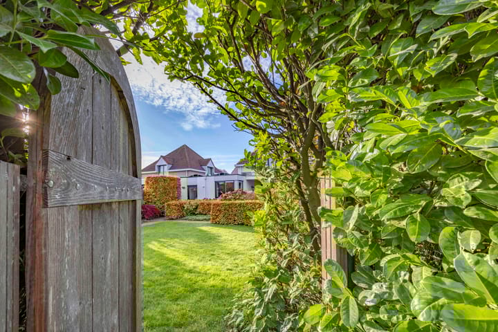 Foto 39 van Jeneverbes 4