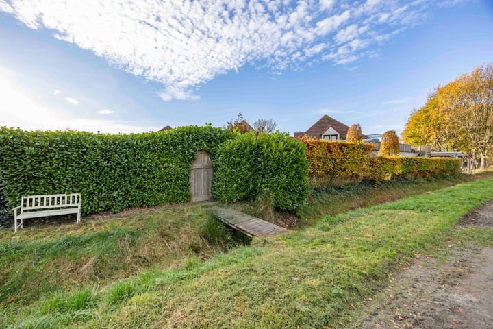 Foto 40 van Jeneverbes 4