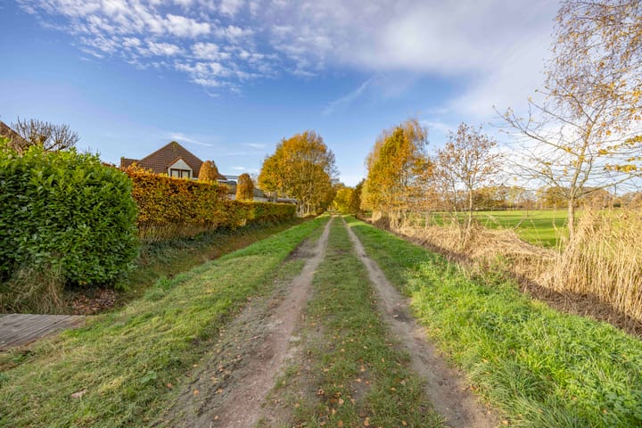 Foto 41 van Jeneverbes 4