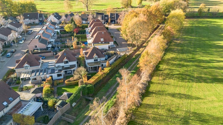 Foto 43 van Jeneverbes 4