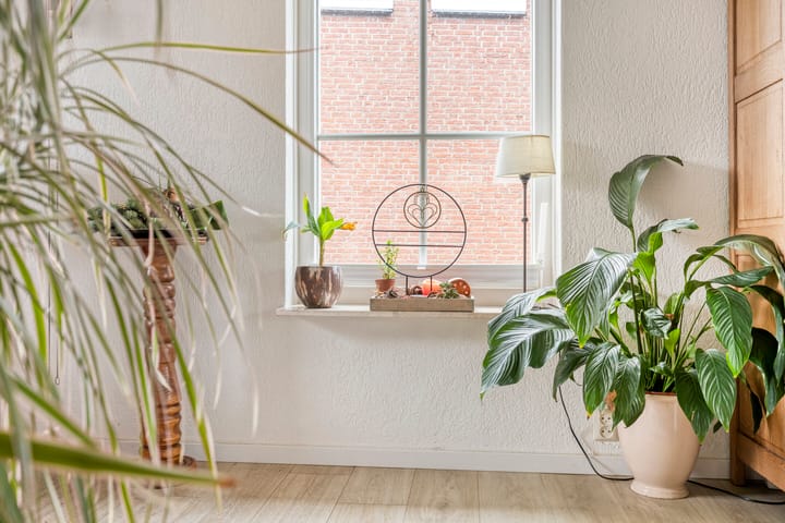 Foto 21 van Palmlaan 8