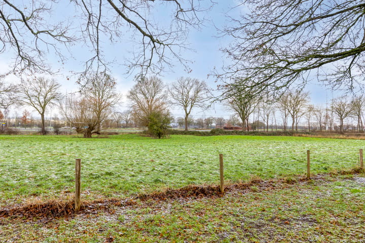 Foto 51 van Palmlaan 8