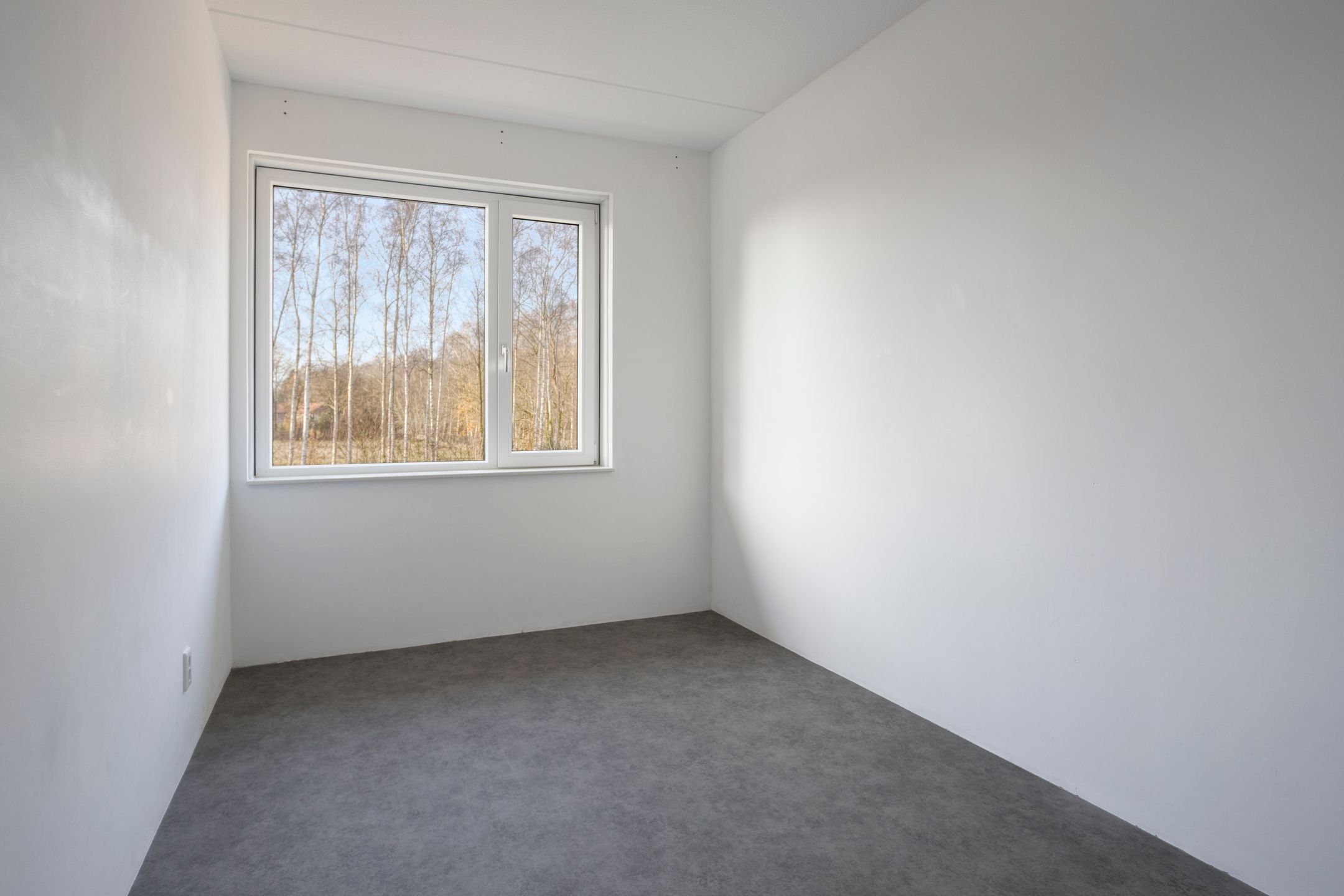 Photo 15 of Stormbaan 5