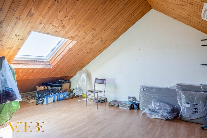 Foto 15 van Hogeschoorweg 250