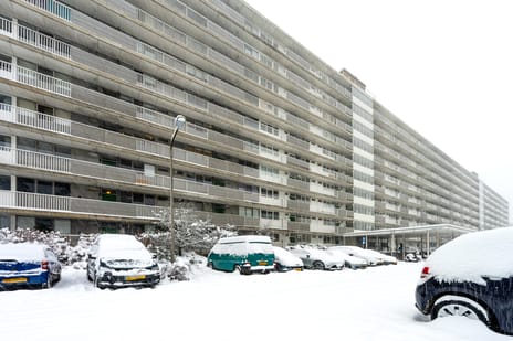 undefined main image