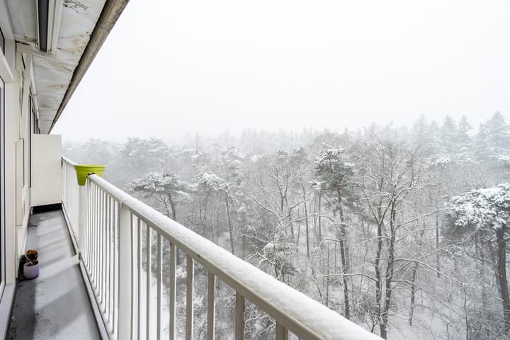 Foto 14 van Anna Paulownalaan 130