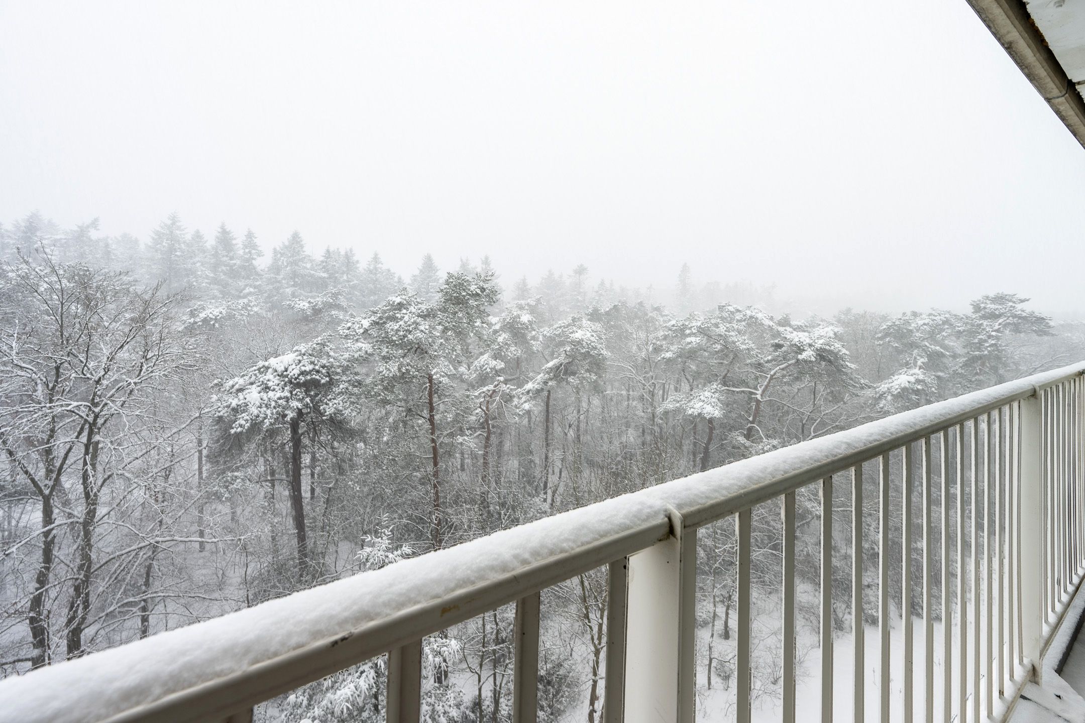 Foto 15 van Anna Paulownalaan 130