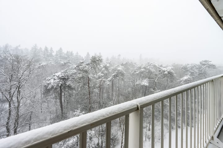 Foto 15 van Anna Paulownalaan 130