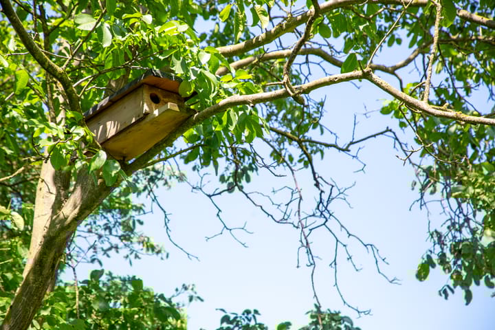 Foto 84 van Apenhorsterweg 2