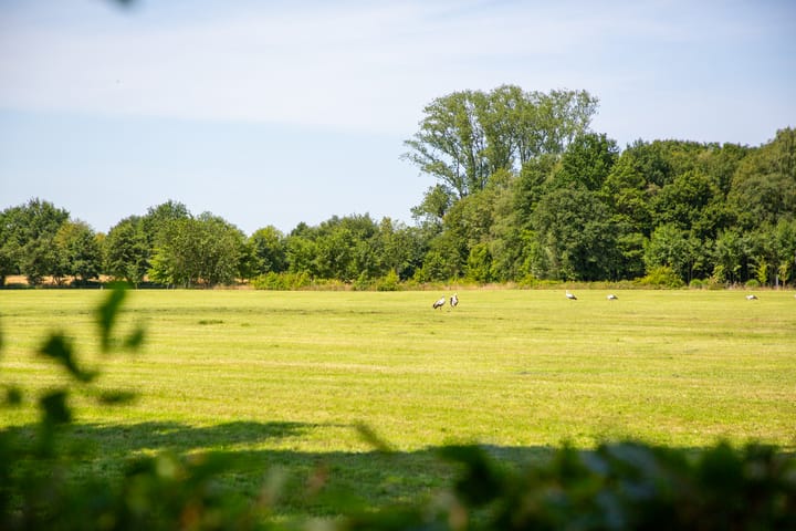 Foto 130 van Apenhorsterweg 2