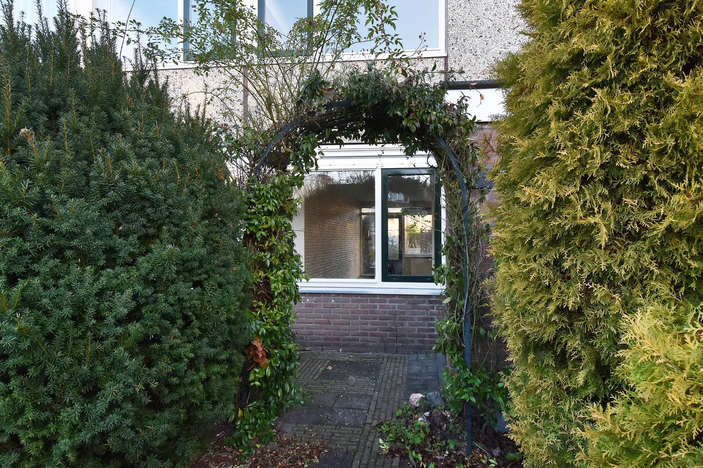 Foto 5 van Beijerland 45