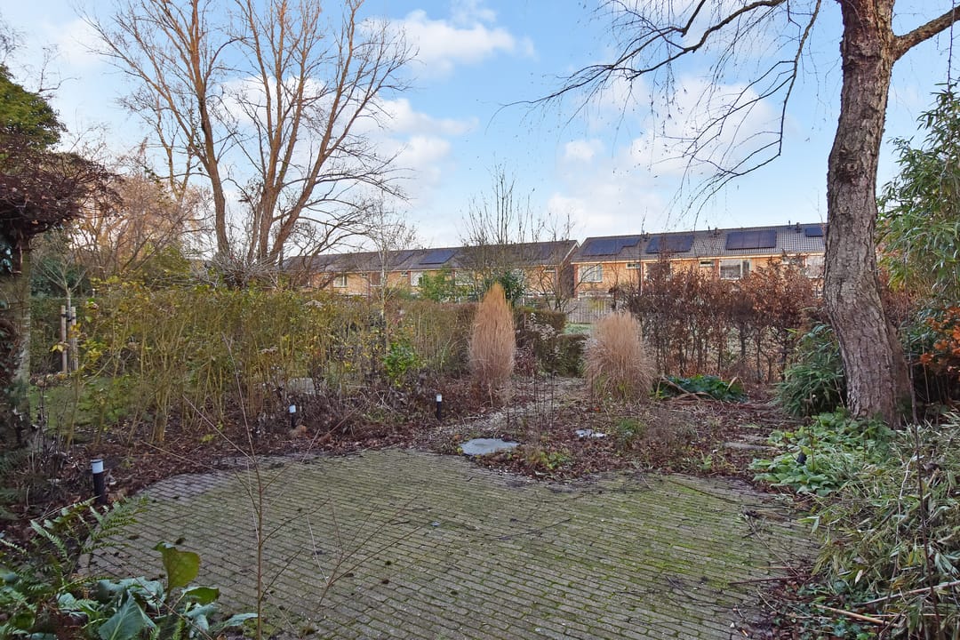 Foto 11 van Beijerland 45