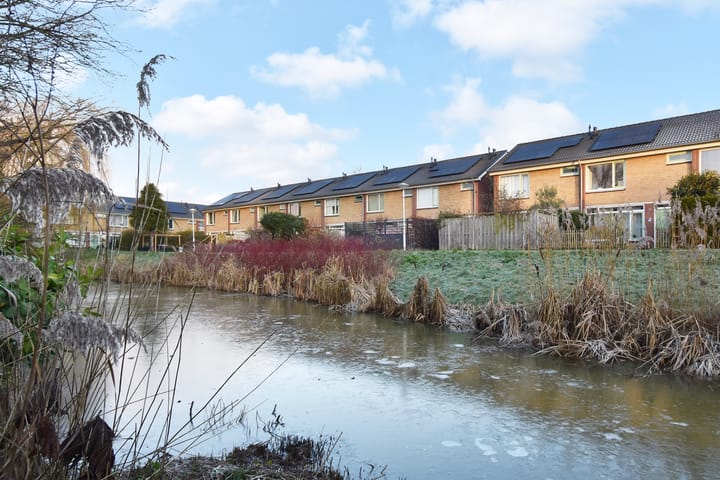 Foto 13 van Beijerland 45