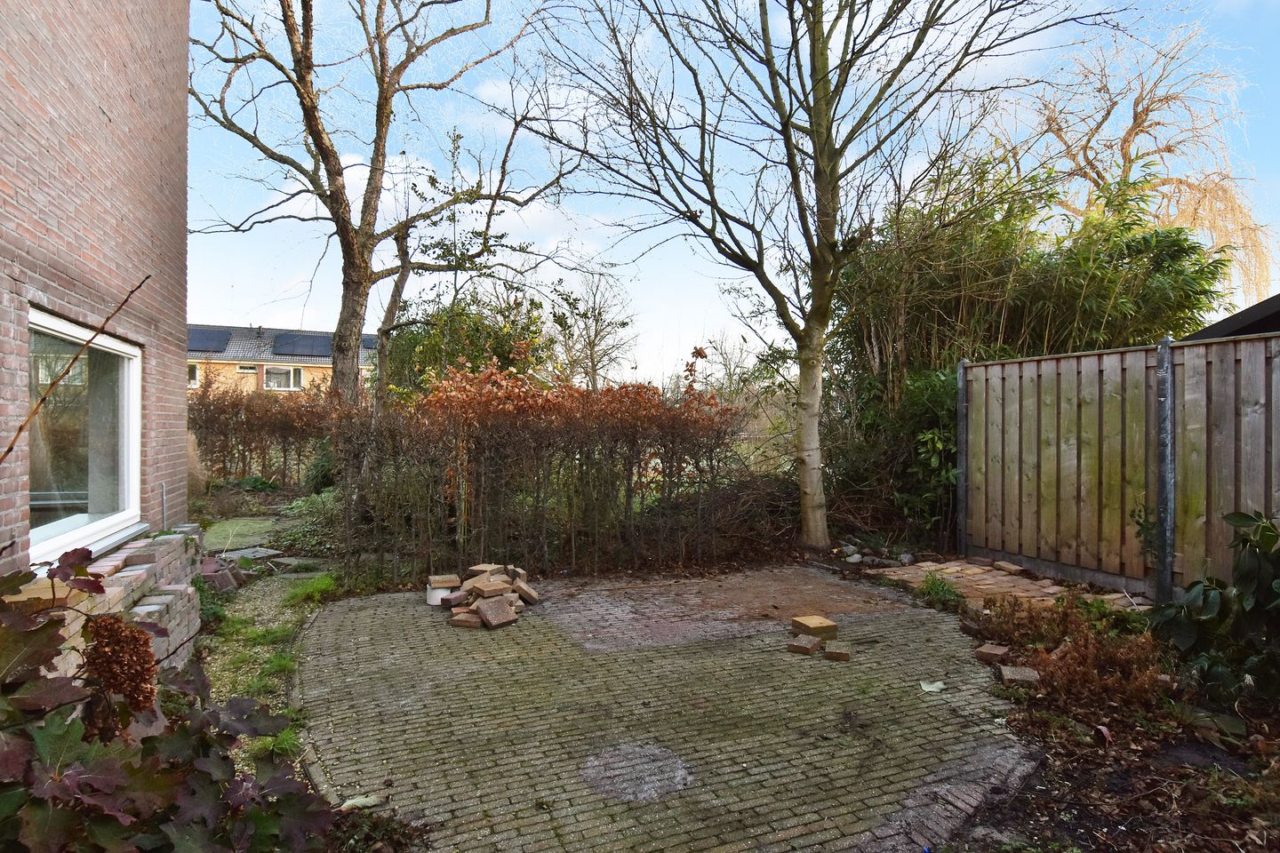 Foto 14 van Beijerland 45