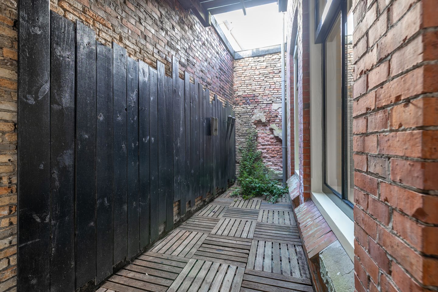 Photo 25 of Wortelhaven 3