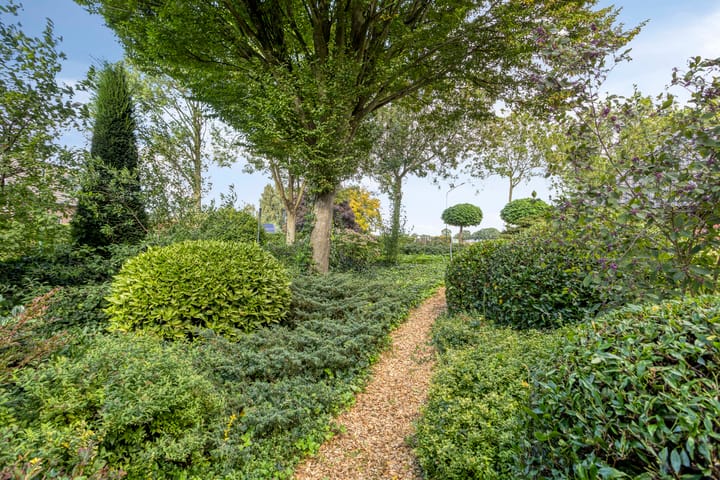 Foto 78 van Watermolenweg 18