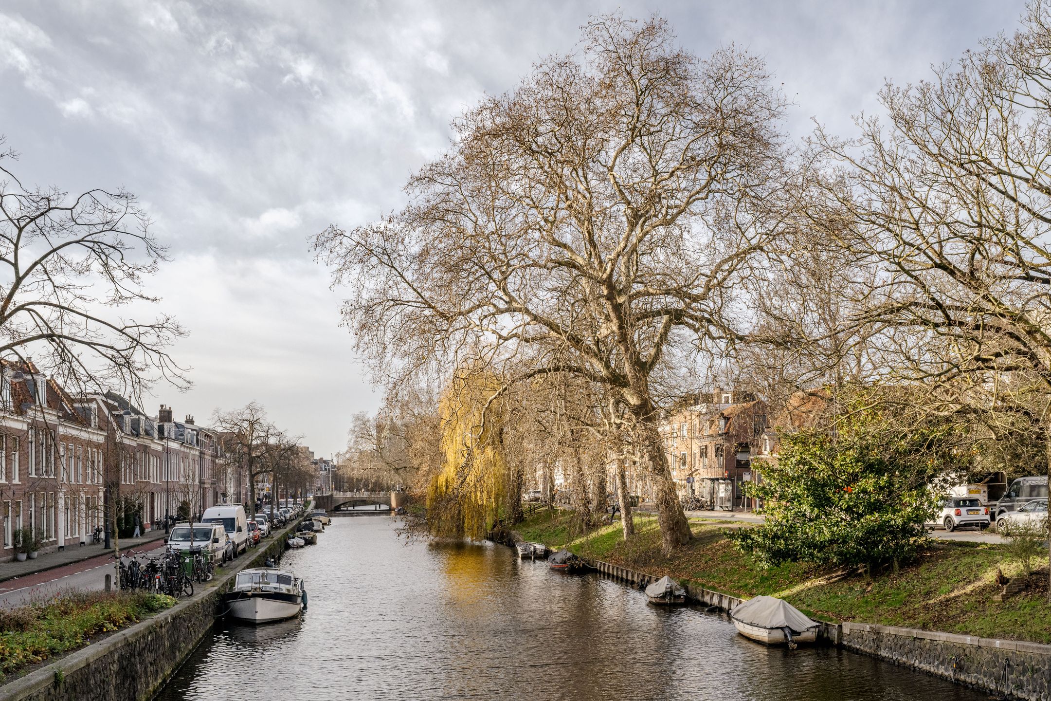 Foto 15 van Kleine Houtstraat 107-B