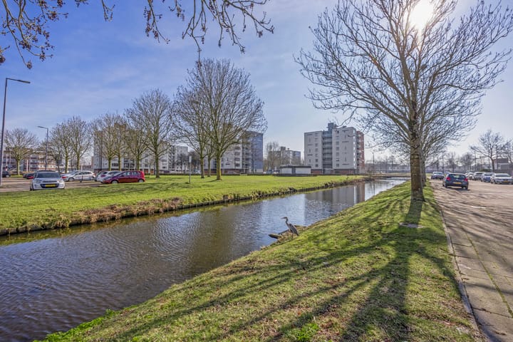 Foto 31 van Den Uylsingel 35