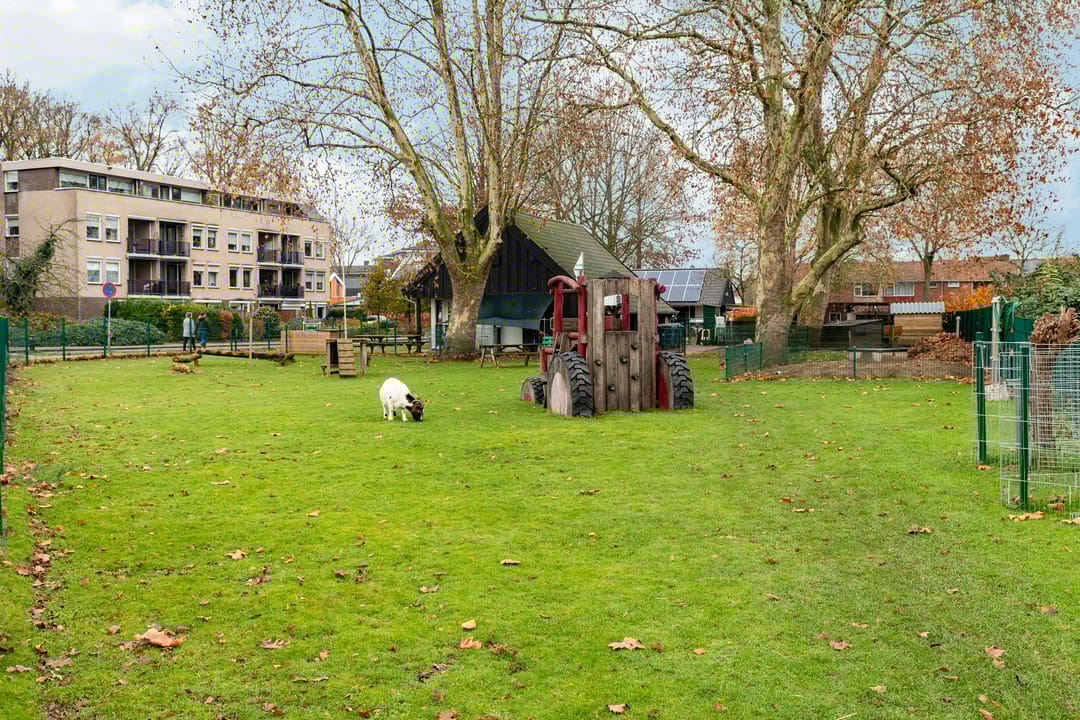 Foto 26 van Bodenclauwstraat 18