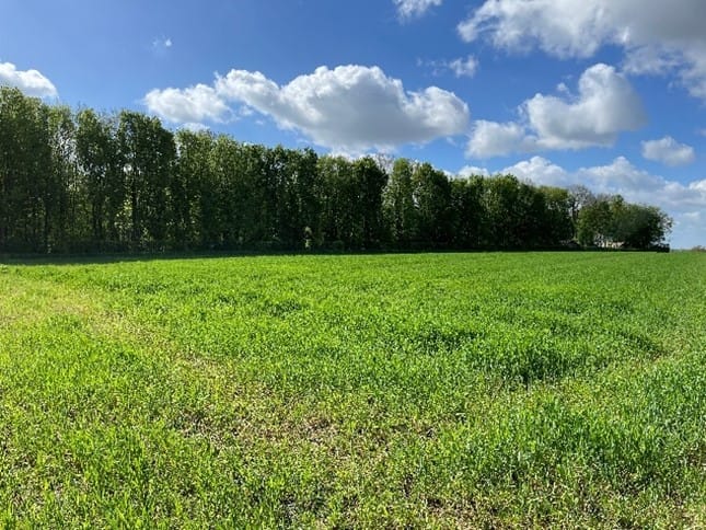 Bekijk foto 4 van Haasdalermolenweg