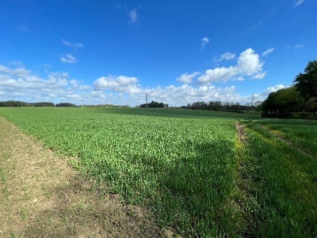 Bekijk foto 5 van Haasdalermolenweg