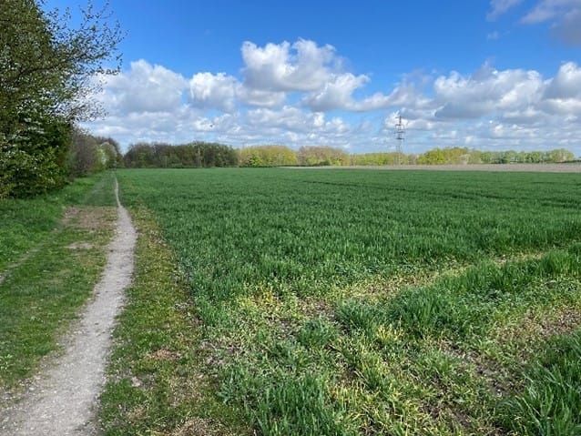Bekijk foto 3 van Haasdalermolenweg