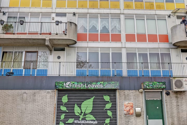 Foto 3 van Reigersbos 233