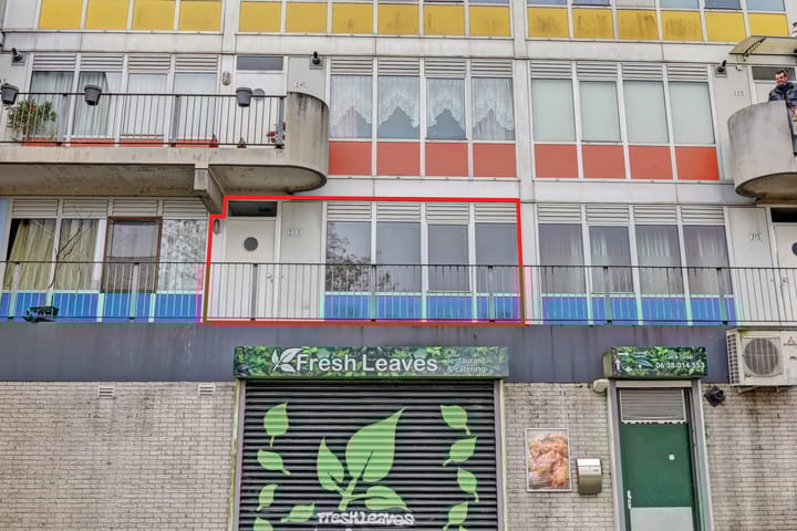 Foto 4 van Reigersbos 233