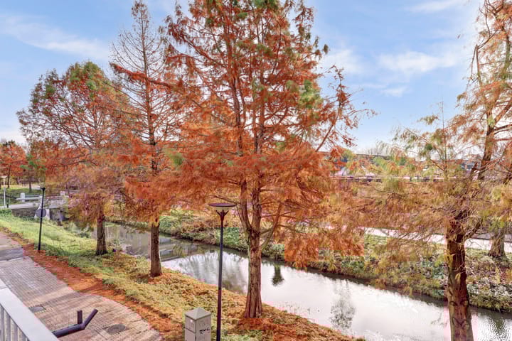 Foto 26 van Reigersbos 233