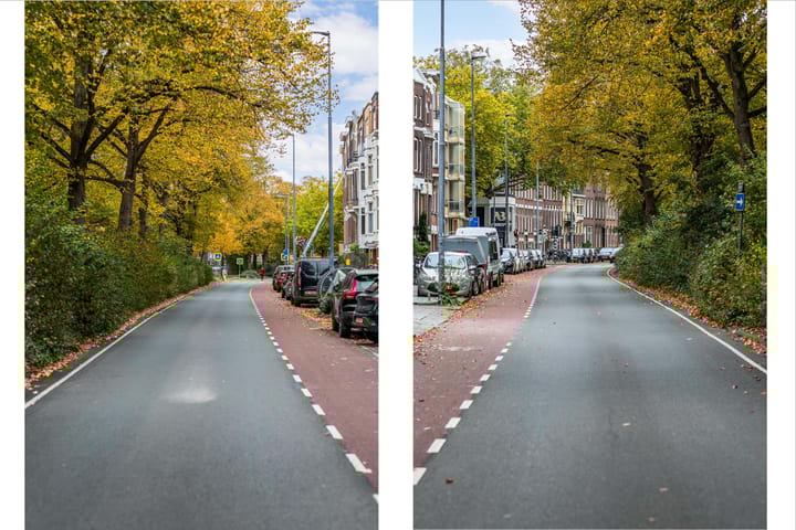 Foto 52 van Bergselaan 168-B